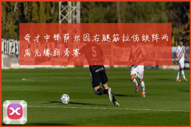 奇才中锋萨尔因右腿筋拉伤缺阵两周无缘新秀赛